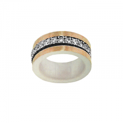 Bicolor ring gold silver