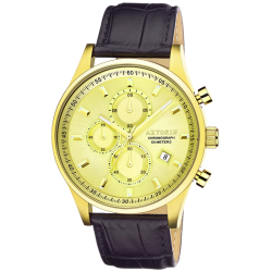 AZTORIN Casual Watch