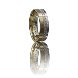 Bicolor gold ring